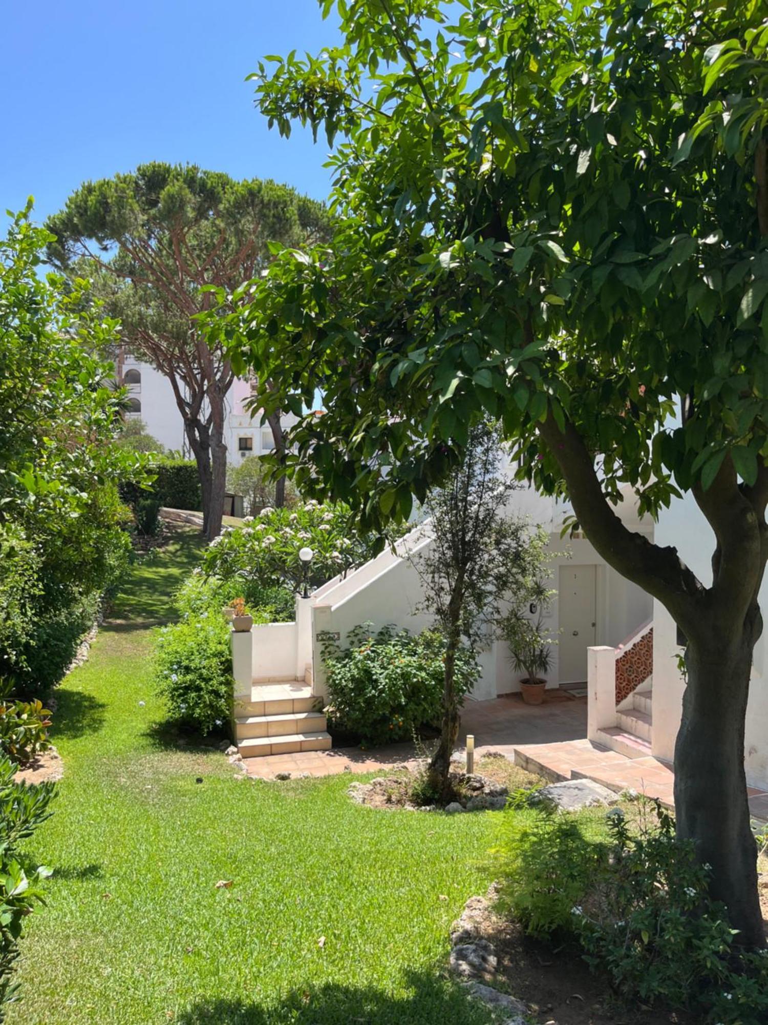"Los Rosales Apartment, 500M To The Beach" Sitio de Calahonda Buitenkant foto
